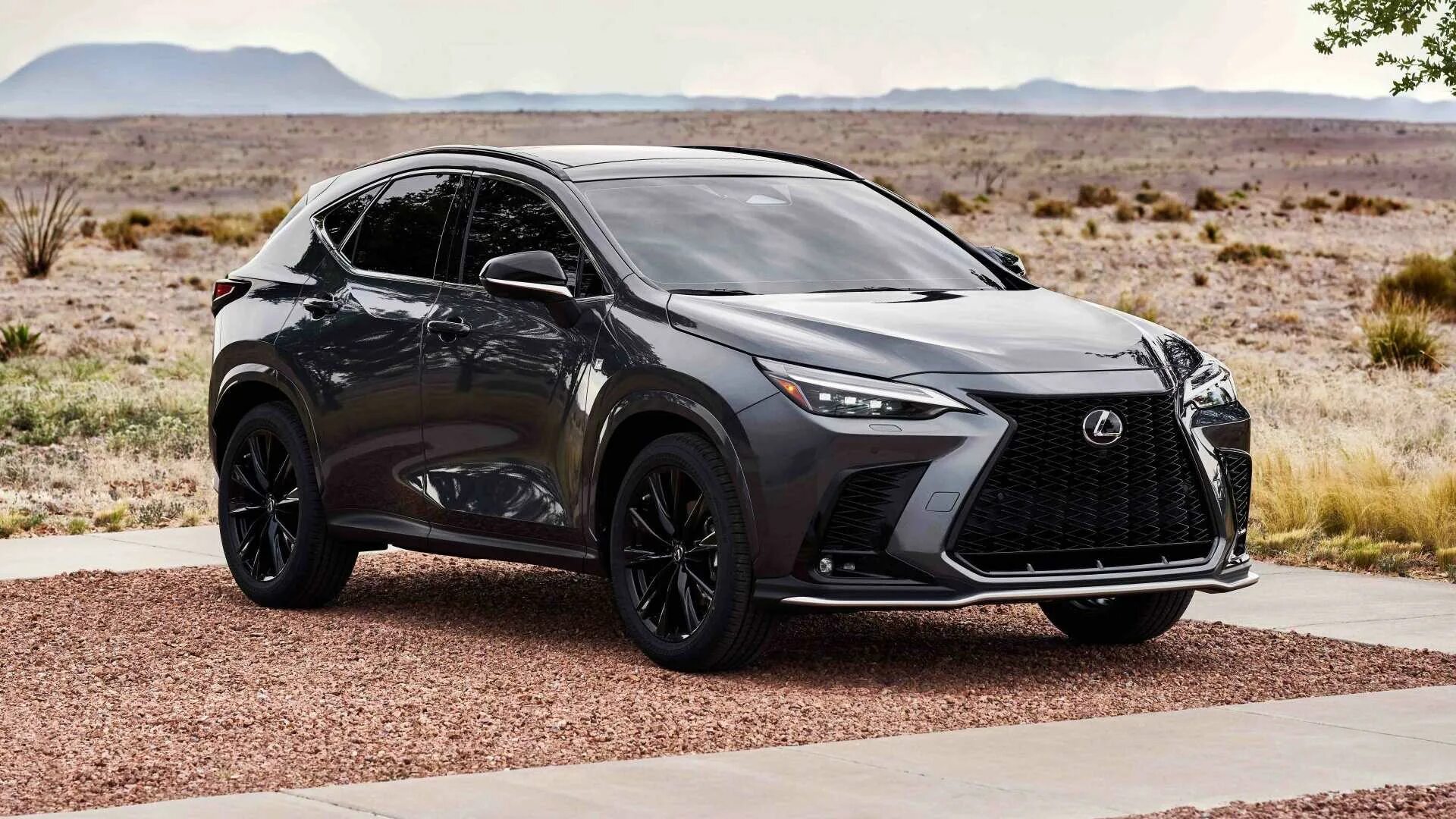 Новый лексус нх. Лексус nx 2025. lexus nx 2025. лексус nx 200 2025. новый lexus nx 2025.