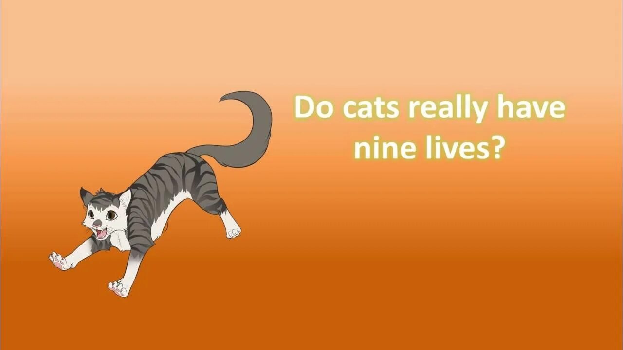 Who has a cat. Who has a cat