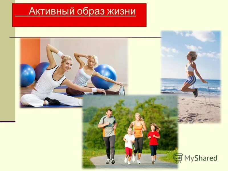 Образ жизни 9