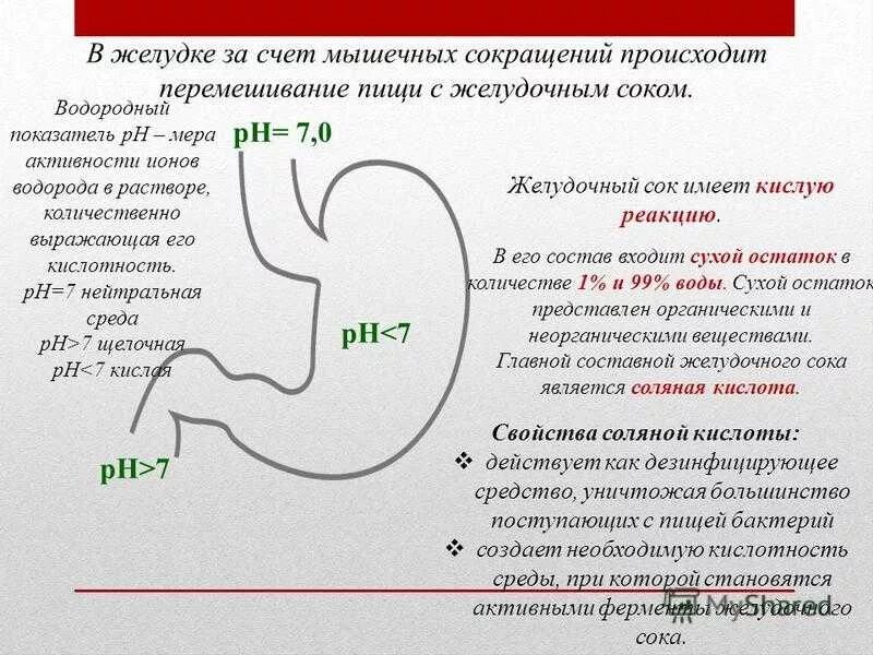 РН желудка в норме. Какова PH желудочного сока?. Среда желудка PH. Кислотность желудка PH. Изжога через 2 часа после еды