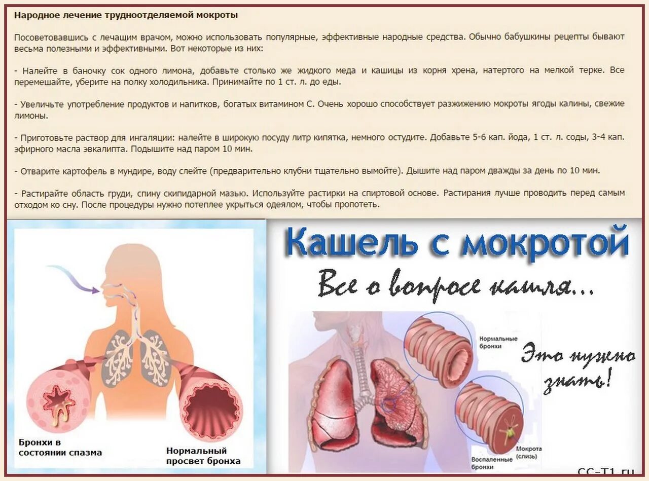 Приступообразный кашель с трудноотделяемой мокротой. Вывод мокроты из бронхов и легких.