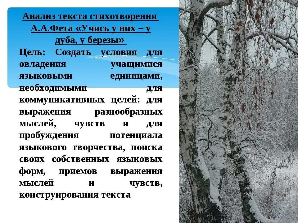 Стих учись у дуба у березы. Учись у них у дуба у березы Фет. Стихотворение Фета учись у них у дуба у березы. Стиховторение "учись у них, у дуба, у берёзы". Стихотворение учись у них у дуба у березы.