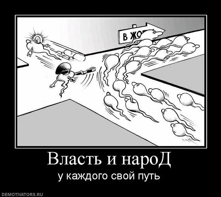 Правды жизни на дне. Демотиваторы про власть. Демотиватор власть и народ. Власть карикатура. Власть и народ карикатура.