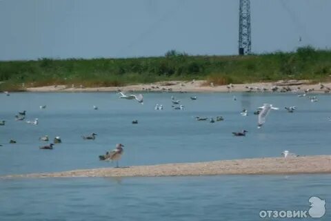 Ейск экскурсии на остров