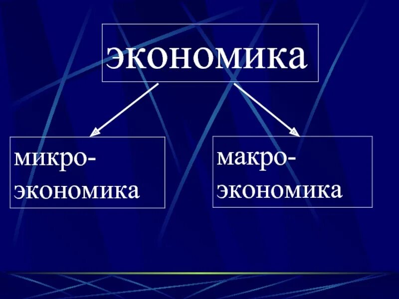 Виды экономики микро макро. Экономика макро и Микроэкономика. Экономика делится на макро и микро. Микро и макроэкономика. Микро макро 2