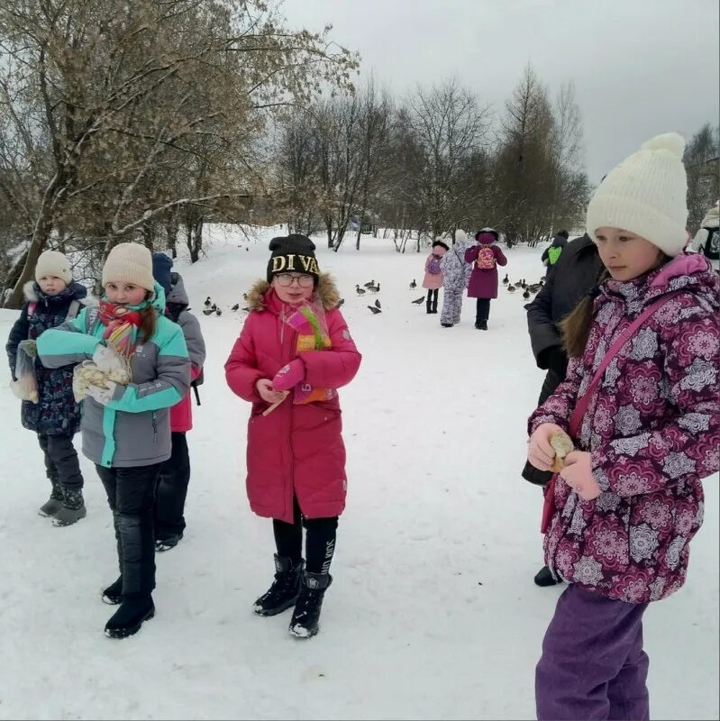 Ученики сделали 2 кормушки. Зимующие птицы Ульяновской области. Вторая гимназия Тихвин 2022. Ленинградские школьники. Зимующие птицы в Адыгее.