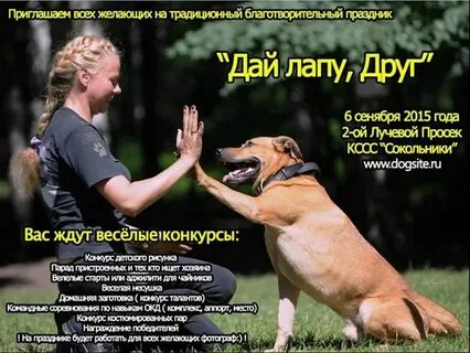 Дай лапу друг