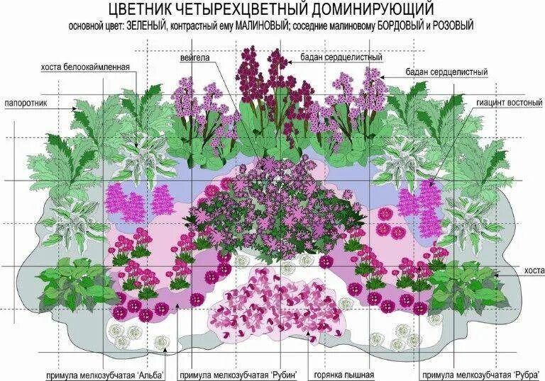 Цветник многолетников непрерывного цветения. Схема миксбордера непрерывного цветения. Клумба из пряных трав многолетников схема. Схема клумбы многолетников непрерывного цветения. Клумба из многолетников для начинающих непрерывного цветения