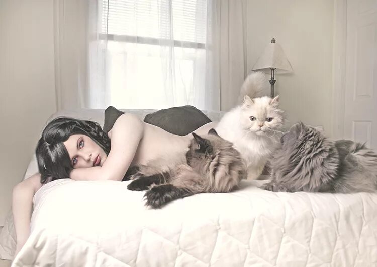 I play with cat. Женщина с кошкой. Девушка с аотом в постели. Девушка с котом в постели. Девушка с котом на кровати.