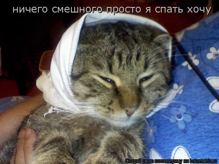 Поперечная надпись. Голубь мем. Ничего это не весело. Психологические цитаты прикольные. Ничего это не весело.