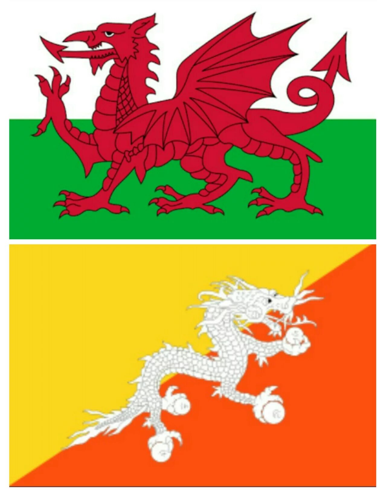 Дракон какая страна. Флаг королевства Уэльса. Флаг с драконом. Бело зелёный флаг с красным драконом. Бело зеленый флаг с драконом.