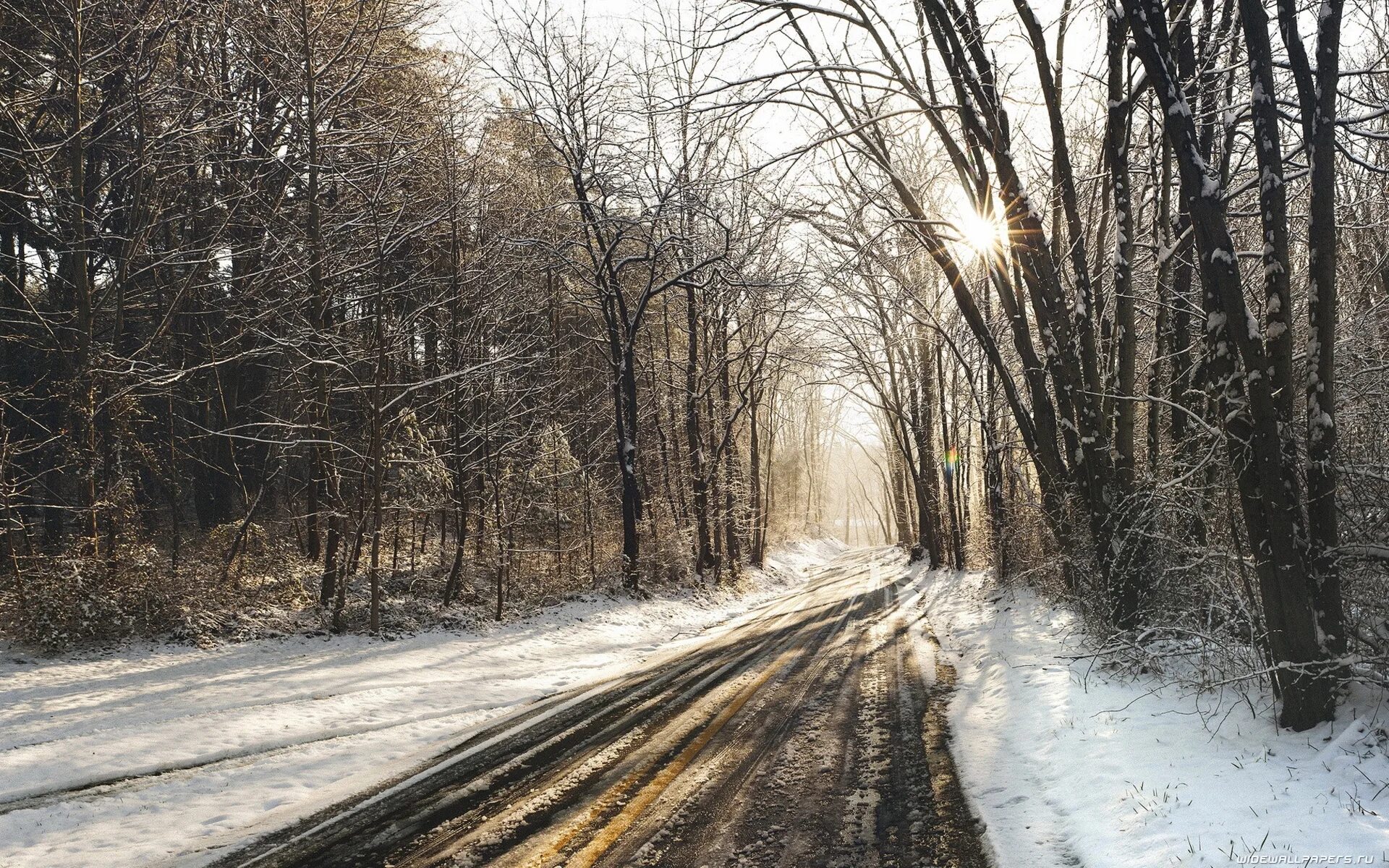 Снег весной на дороге. Зимняя дорога. Весенняя дорога в лесу. Зимняя Лесная дорога.