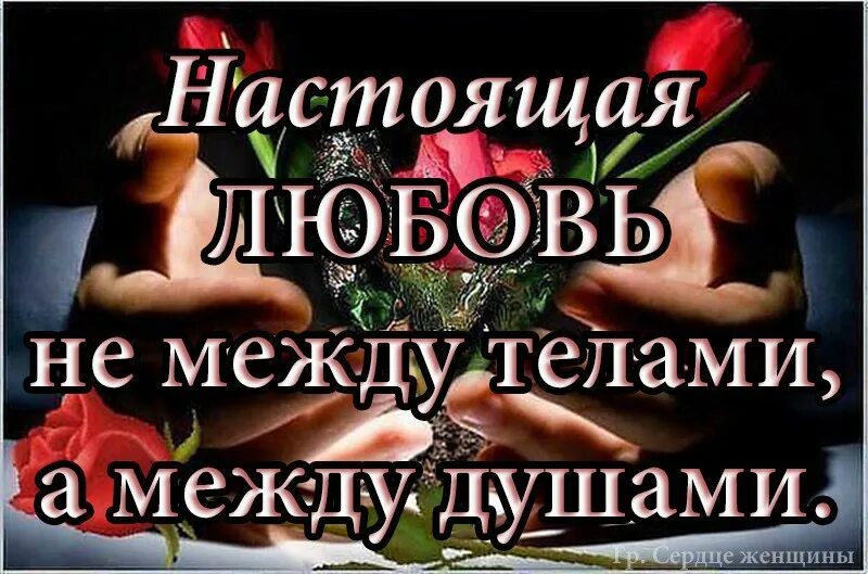 Полюбив душу можно сойти с ума. Настоящая любовь между душами. настоящая любовь не между телами а между душами. полюбить душу не зная тела. полюбить душу не касаясь тела а потом сходить с ума.
