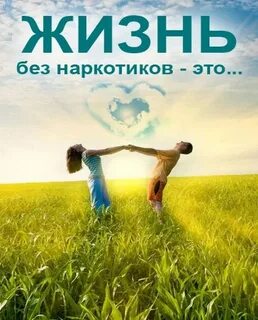 Живи правильно картинки