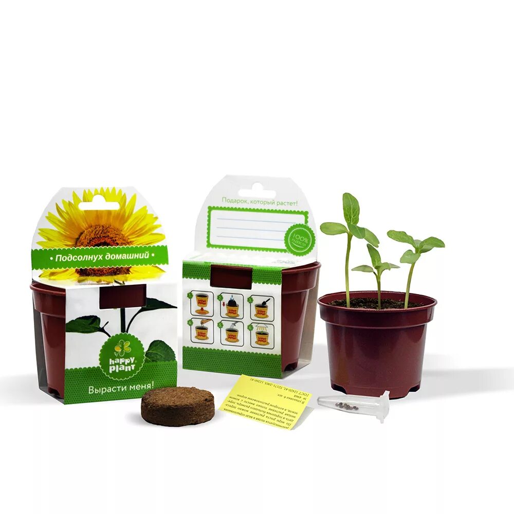 эко подарки. выращивание подарочный набор. выращивание подарочный набор. экокуб ромашка стефания. набор подарочный в стружке.