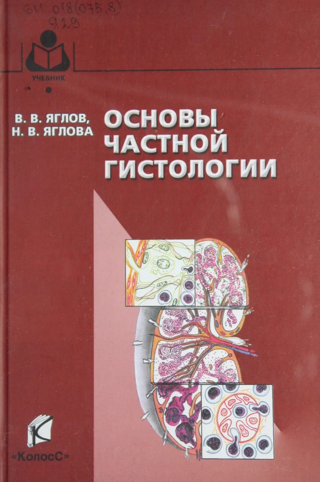 Частная гистология. Основы цитологии и гистологии. яглов гистология. методическое пособие по гистологии. пособие по частной гистологии и эмбриологии.