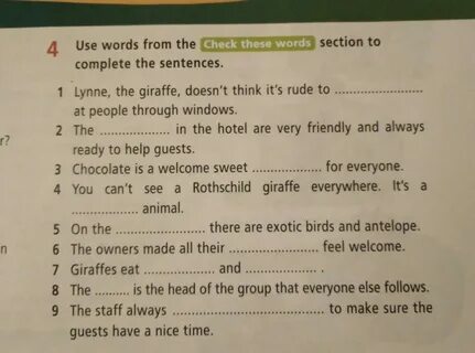 Use your words перевод
