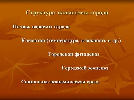 Городская экосистема
