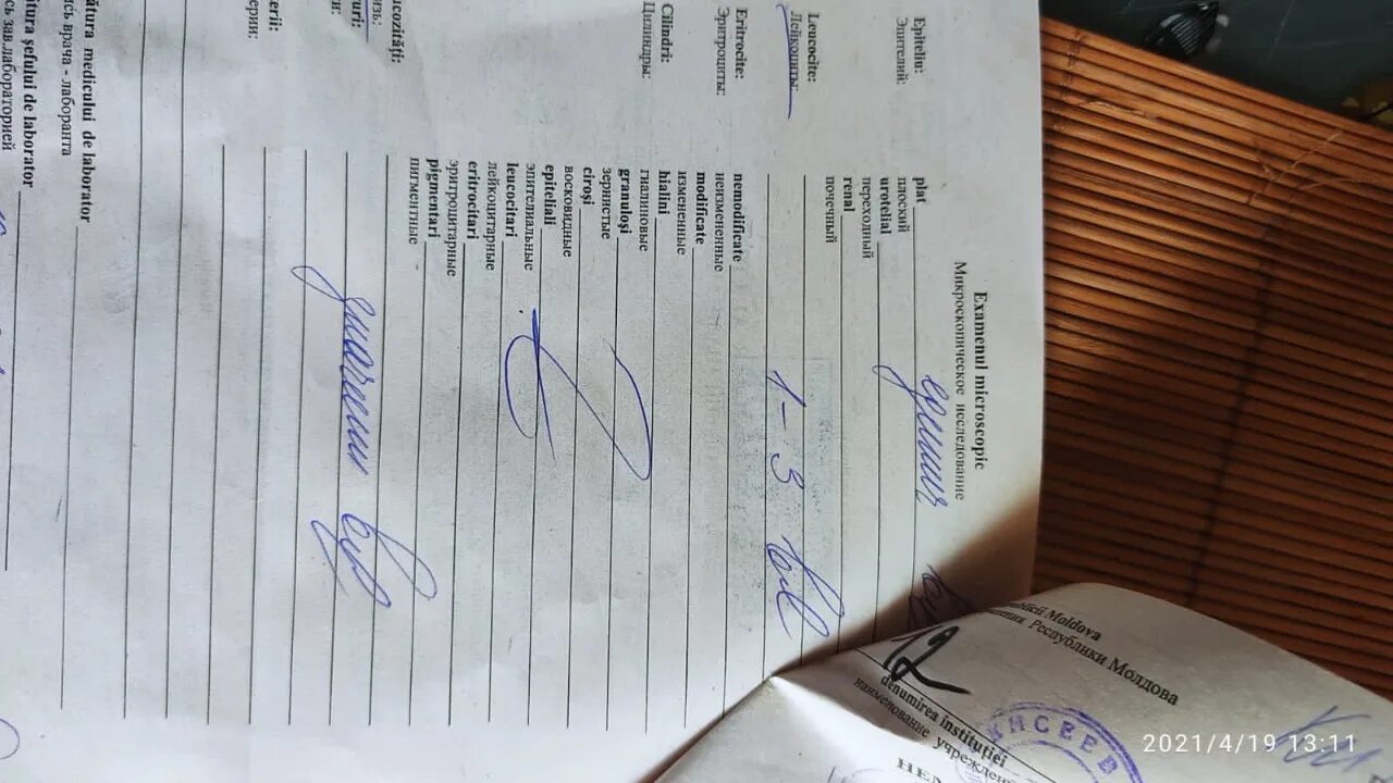 Что такое ревмопробы. Ревмопробы показатели. направление на ревмопробы. ревмопробы ревматологии. ревмопробы фото.