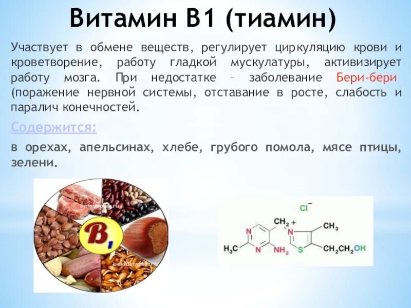 Фолиевая кислота тиамин. Витамин b1 тиамин. Тиамин витамин b1 необходим. Витамин b1 тиамин роль в организме. Витамин в1 тиамин недостаток.