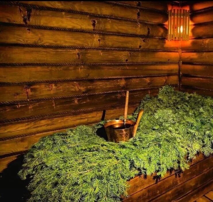 Можжевеловый веник для бани. Веник для бани пихта. Пихтовый веник для бани. Как париться пихтовым веником. Девушка с веником.