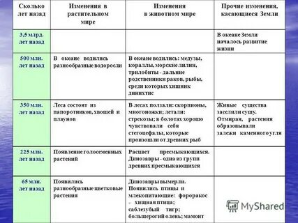 Сколько лет жизни на земле