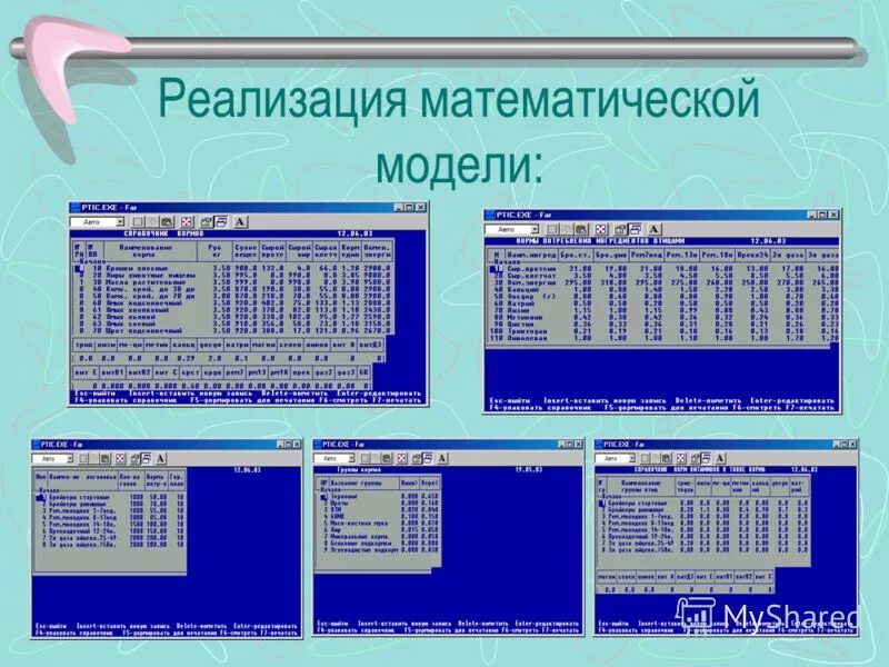 Реализация математической модели