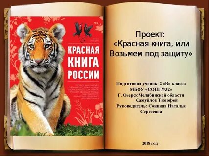 Красная книга жизни