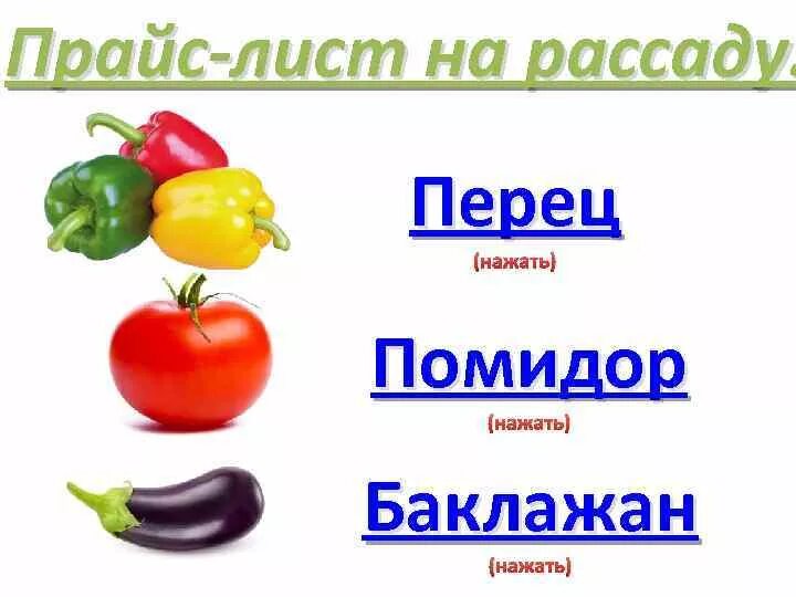 Прайс лист садовый центр 40 лет победы. Прайс лист рассады. Прайс лист на овощную рассаду. Прайс лист на рассаду цветов. Прайс-лист на цветочную рассаду.