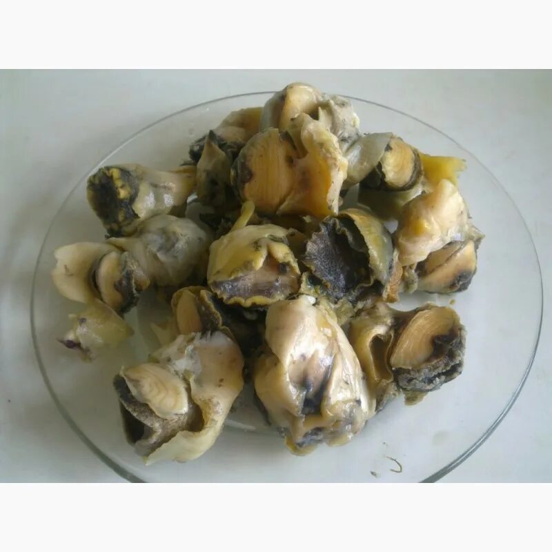 Как приготовить мясо рапана
