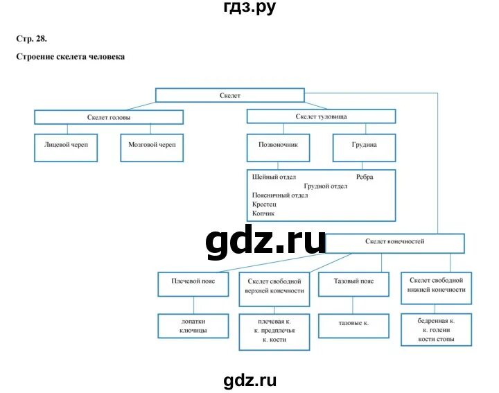 Н ф бодрова биология 8 класс. Рабочая тетрадь по биологии 8 класс бодрова. Тетрадка по биологии 8 класс бодрова. Человек и его здоровье 8-9 класс рабочая тетрадь. Google pub sub.