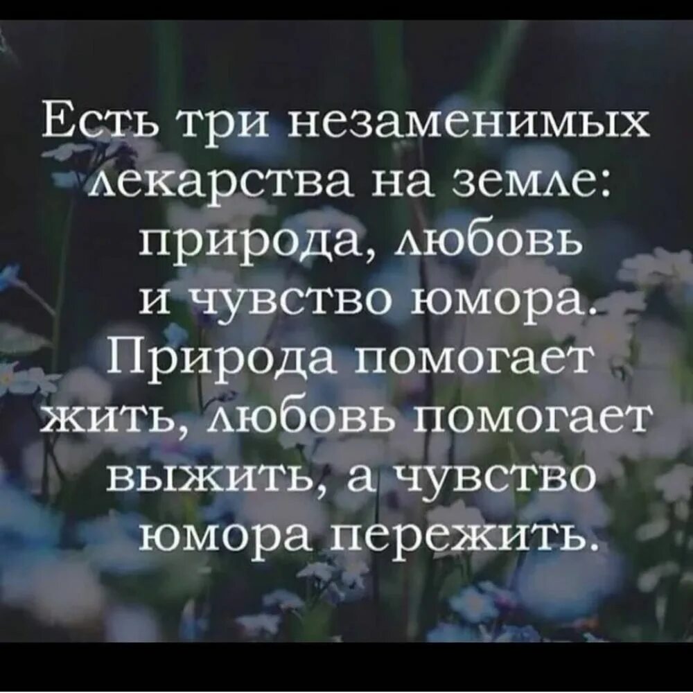 Юмор помогает жить. Высказывания о природе. Фразы про природу. Афоризмы про эмоции и чувства. Фразы про чувства.