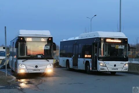 Автобус 105 спб