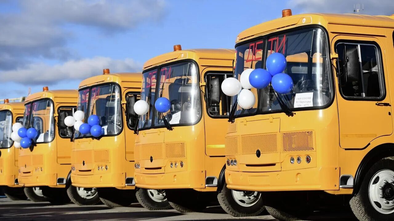 Школьный автобус. Школьные автобусы в России. Российский школьный автобус. Школьный автобус 2022.
