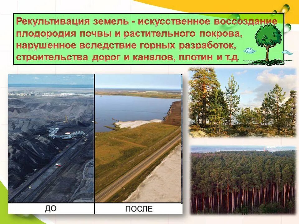 осеннее поле в тумане. где влажность выше над лесом или пашней. конвективные движения в мантии. влажность водяного пара 100. типы луга.