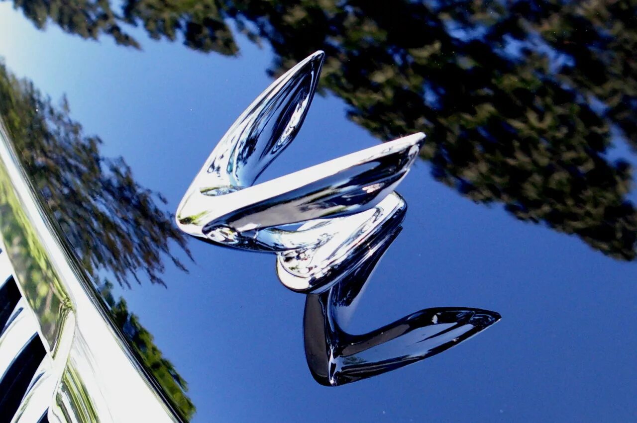 Машина bird. Hyundai Equus Emblem. Хендай Экус значок на капот. Hyundai Equus с птичкой на капоте. Машина с крыльями.