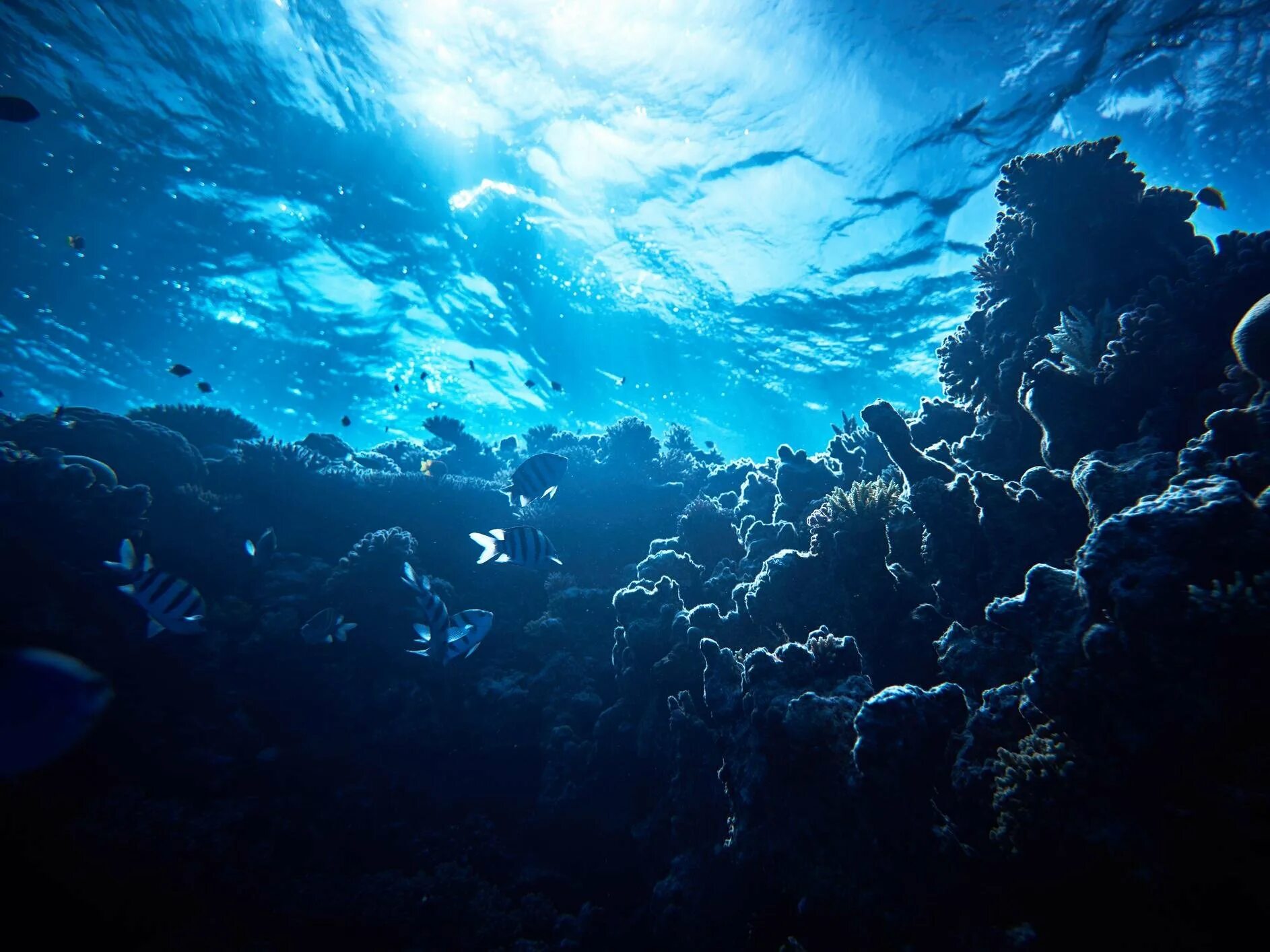 Re ocean
