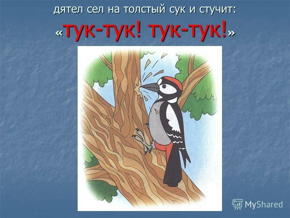 Рассказ стучит. Дятел иллюстрация. Дятел для детей. Дятел стучит. Открытка дятел стучит.