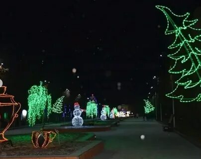 Становое елец