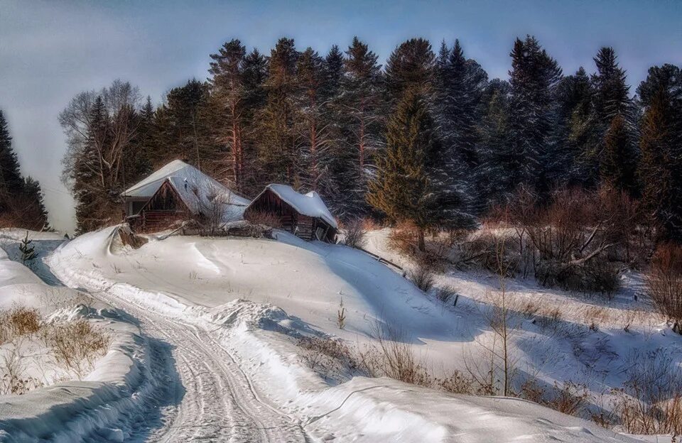 Карельский лес зимой. Банька зима природа. Заснеженная изба. Уьлеса наопушке жила зима. Потолок ледяной дверь скрипучая.