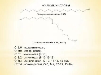 Пальмитиновая кислота какая