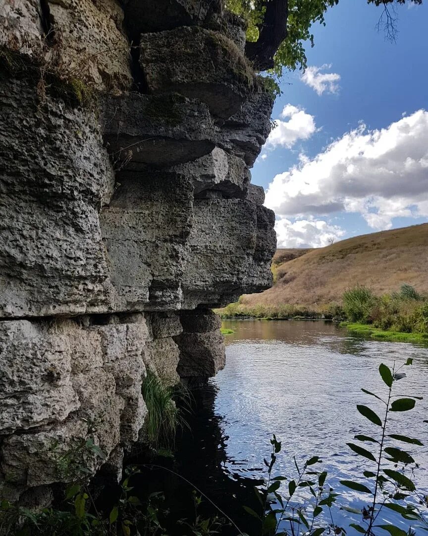 Парк аргамач липецкая область. Аргамач пальна. Аргамач пальна липецк. Памятник природы аргамач пальна. Археологический парк аргамач елец.