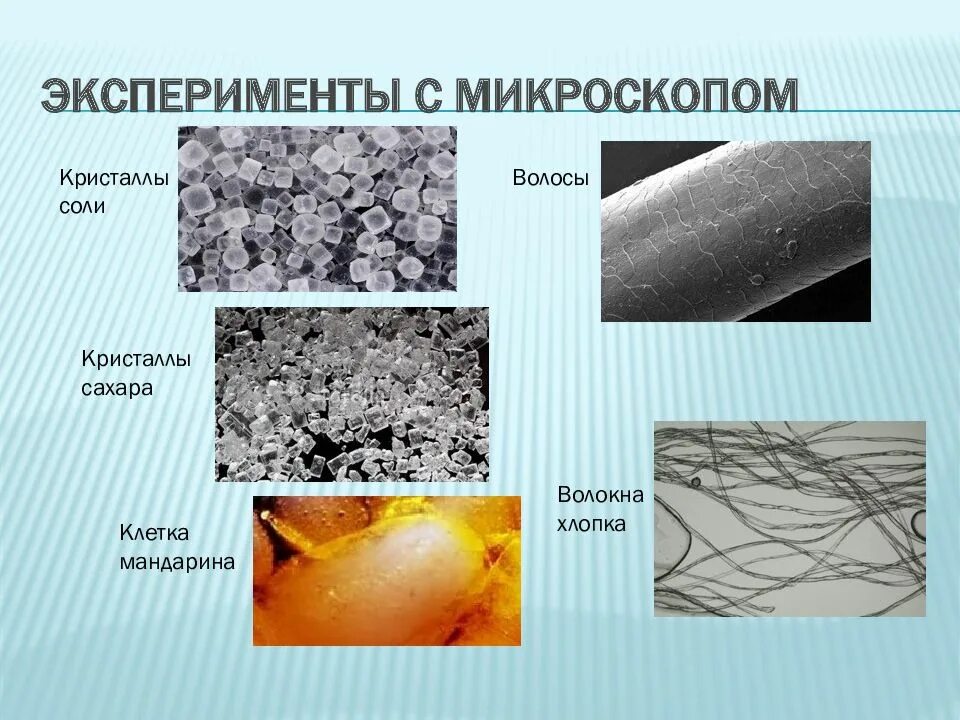 Эксперимент под микроскопом. Эксперимент с микроскопом. эксперименты под микроскопом. опыты с микроскопом. опыты под микроскопом.