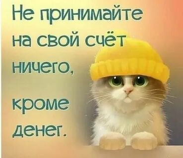 Прикольные статусы для ватсапа в картинках смешные