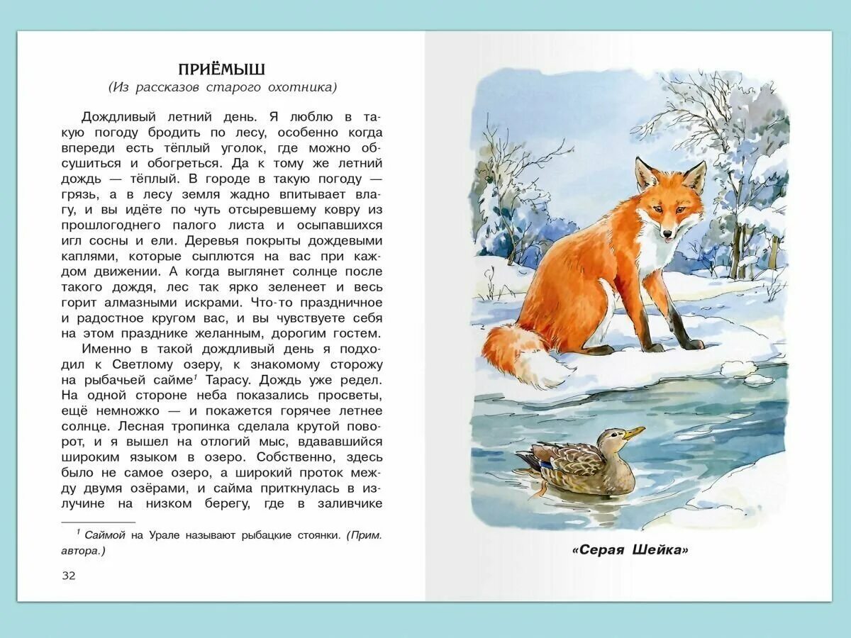 Сказка мамина сибиряка серая шейка. Н. Серая шейка. Д. Мамин сибиряк серая шейка.