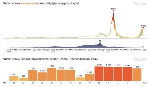 Коронавирусы краснодарском крае сколько