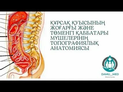 Жалғыз қыз секс онлайн