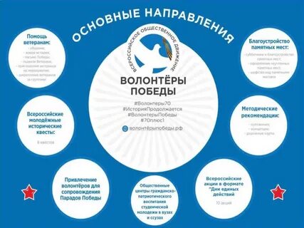 Волонтерский проект сфера