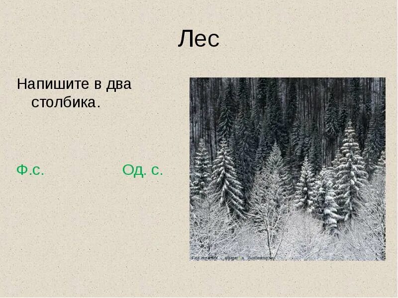 Какую роль играет лес в жизни человека. В дали леса как пишется. Соединительные гласные о и е в сложных словах 6 класс правило. Как правильно пишется лесного. Как пишется лесной.