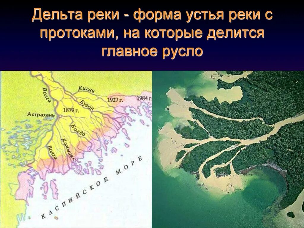 Устье каких рек образует обширную дельту. Дельта реки и устье реки. типы дельт рек. форма дельта реки. дельта форма устья реки.